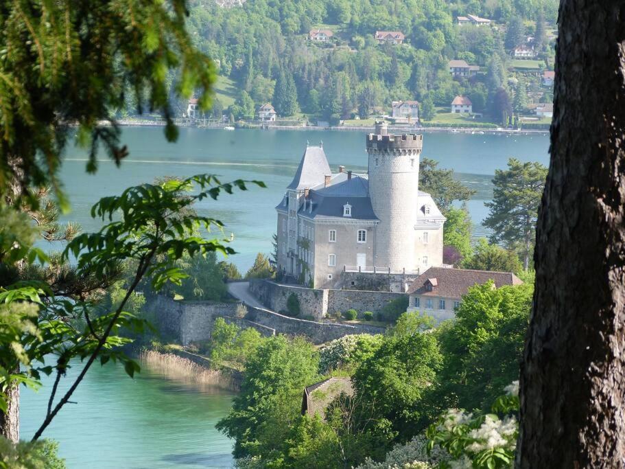 Charmant Et Spacieux Appartement A Quelques Pas Du Lac Duingt Buitenkant foto