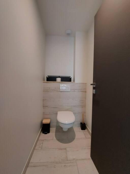 Charmant Et Spacieux Appartement A Quelques Pas Du Lac Duingt Buitenkant foto